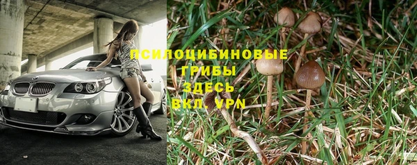 прущая мука Гусев