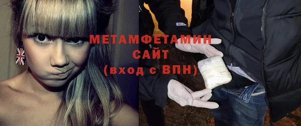 индика Горняк