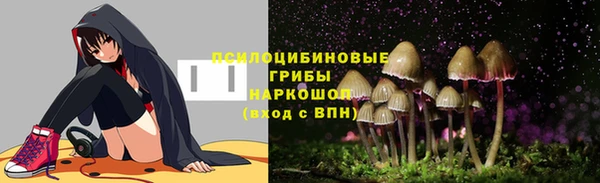 индика Горняк