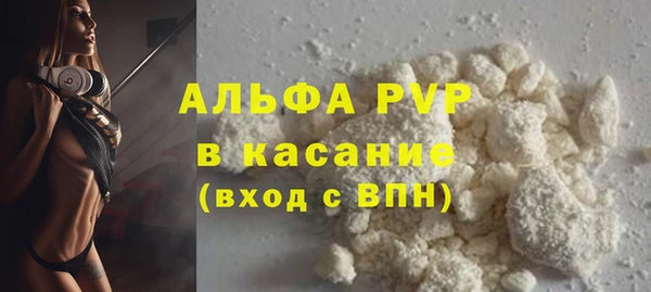 индика Горняк