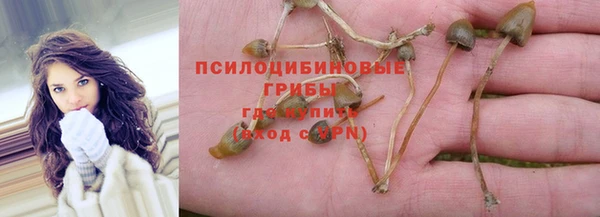 крисы Горно-Алтайск
