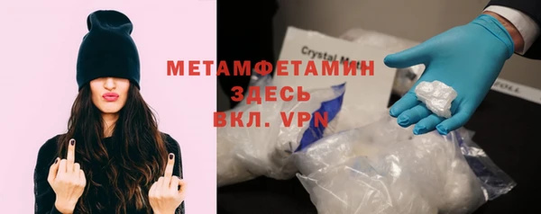 индика Горняк