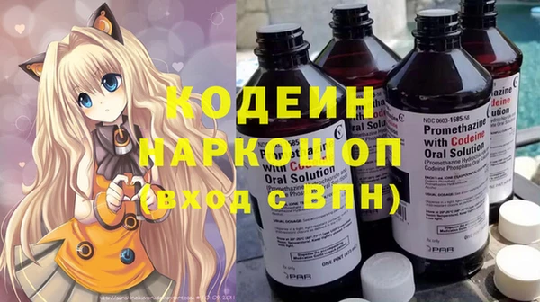 индика Горняк