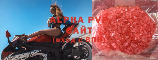 индика Горняк