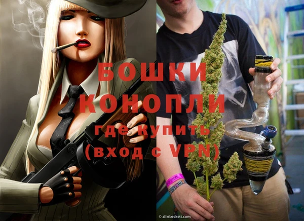 индика Горняк