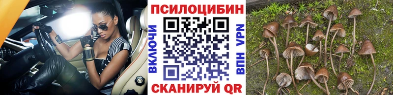 Псилоцибиновые грибы GOLDEN TEACHER  Нефтекамск 